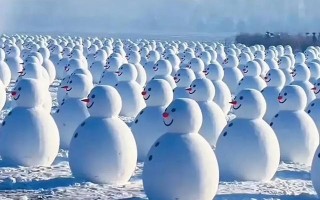 雷速-哈尔滨雪人主场战胜劲旅，球迷沸腾欢呼雀跃
