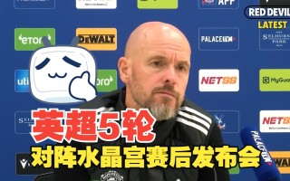 雷速官网-水晶宫后防线需重整，备战下轮比赛