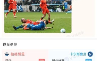雷速直播-汉堡队士气高涨，冲击次轮比赛