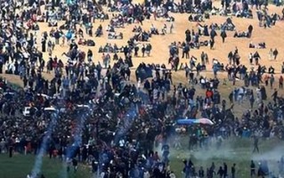 雷速官网-巴勒斯坦球队海军完成逆袭，收获回报