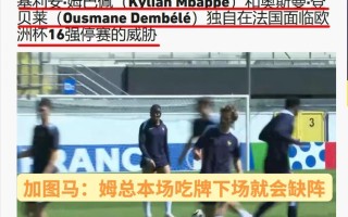 雷速官网下载-荷兰战平土耳其，欧洲杯资格悬念未定