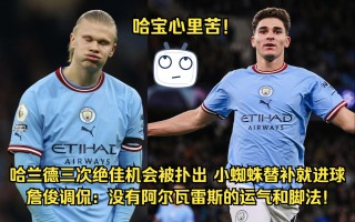 雷速官网-哈兰德替补上场，为球队贡献进球