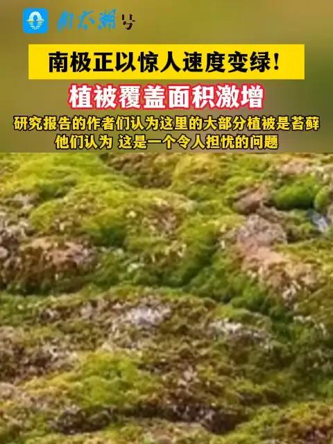 雷速官网下载-南极选手实现突破，创造惊人表现-第1张图片-雷速官网